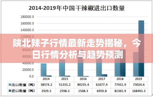 陜北辣子行情最新走勢(shì)揭秘，今日行情分析與趨勢(shì)預(yù)測(cè)