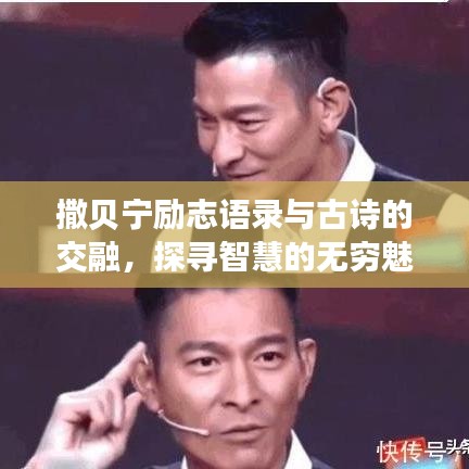 撒貝寧勵志語錄與古詩的交融，探尋智慧的無窮魅力