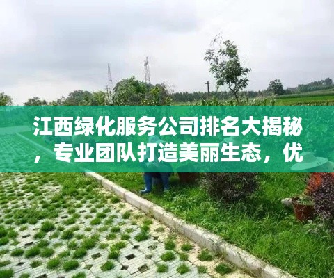 江西綠化服務(wù)公司排名大揭秘，專業(yè)團(tuán)隊(duì)打造美麗生態(tài)，優(yōu)質(zhì)企業(yè)榜單不容錯(cuò)過(guò)！