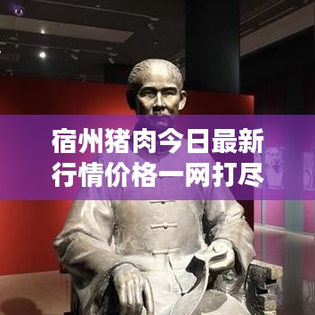 宿州豬肉今日最新行情價格一網打盡