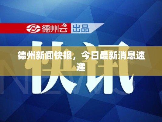 德州新聞快報，今日最新消息速遞