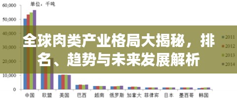 全球肉類產(chǎn)業(yè)格局大揭秘，排名、趨勢與未來發(fā)展解析