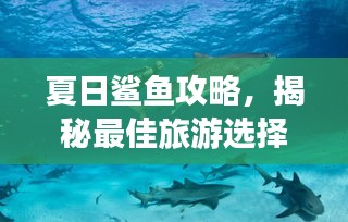 遠(yuǎn)山芙蓉 第2頁