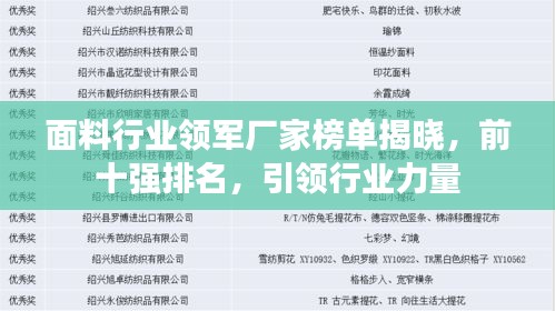 面料行業領軍廠家榜單揭曉，前十強排名，引領行業力量