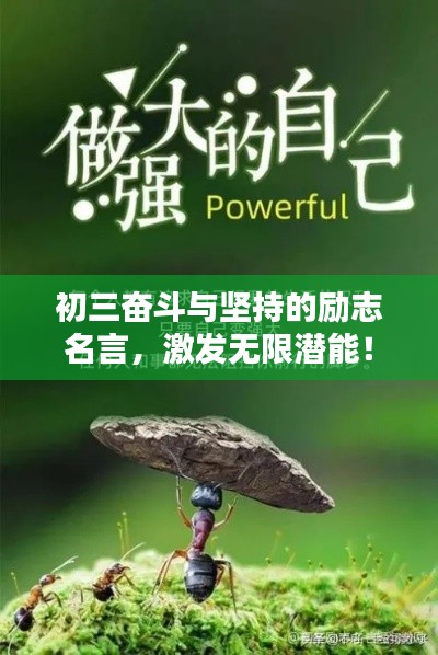 初三奮斗與堅持的勵志名言，激發無限潛能！