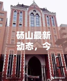 碭山最新動態，今日信息一網打盡！