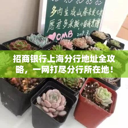 招商銀行上海分行地址全攻略，一網打盡分行所在地！