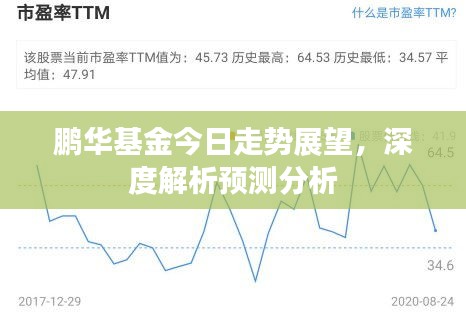 鵬華基金今日走勢展望，深度解析預測分析