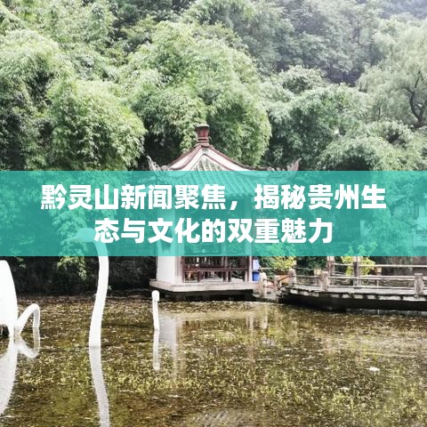 黔靈山新聞聚焦，揭秘貴州生態與文化的雙重魅力
