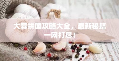 大蒜拼圖攻略大全，最新秘籍一網(wǎng)打盡！