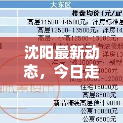沈陽(yáng)最新動(dòng)態(tài)，今日走勢(shì)揭秘