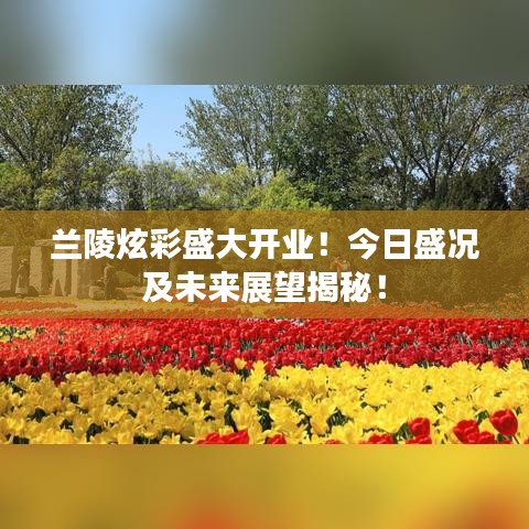蘭陵炫彩盛大開業(yè)！今日盛況及未來展望揭秘！