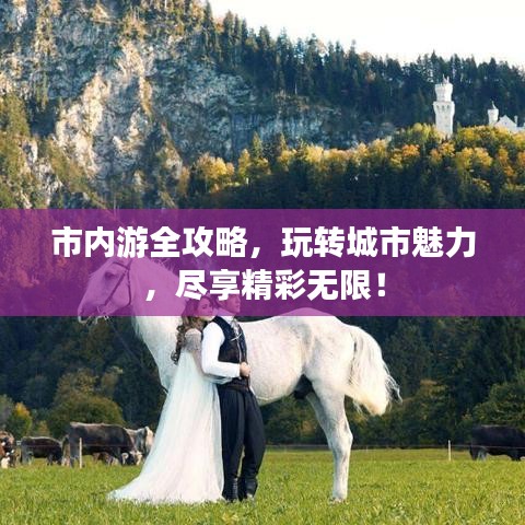 市內游全攻略，玩轉城市魅力，盡享精彩無限！
