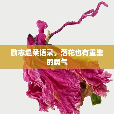 勵志溫柔語錄，落花也有重生的勇氣
