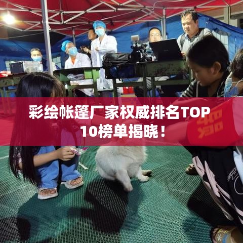 彩繪帳篷廠家權威排名TOP 10榜單揭曉！