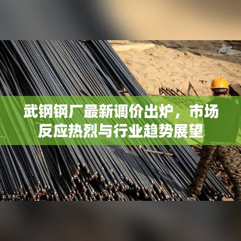 武鋼鋼廠最新調(diào)價(jià)出爐，市場反應(yīng)熱烈與行業(yè)趨勢展望
