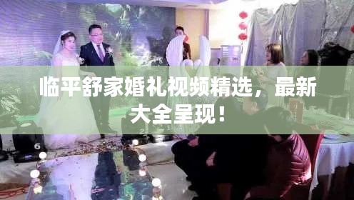 臨平舒家婚禮視頻精選，最新大全呈現！