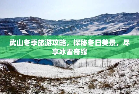 武山冬季旅游攻略，探秘冬日美景，盡享冰雪奇緣