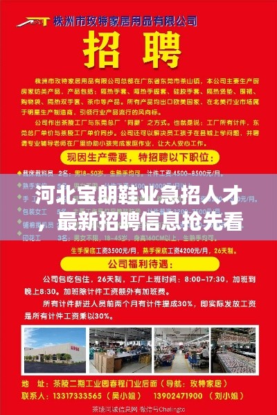 河北寶朗鞋業急招人才，最新招聘信息搶先看！