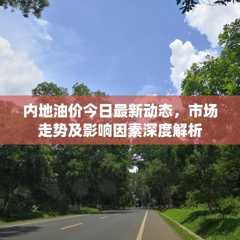 內地油價今日最新動態，市場走勢及影響因素深度解析