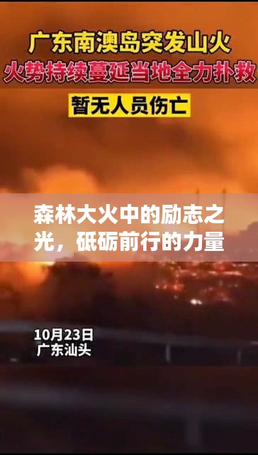 富貴不淫 第2頁