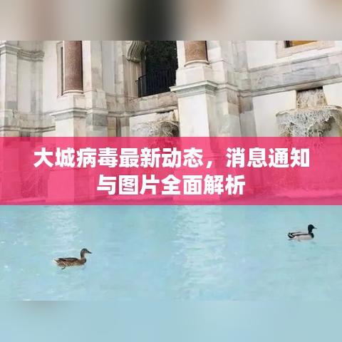 大城病毒最新動態(tài)，消息通知與圖片全面解析