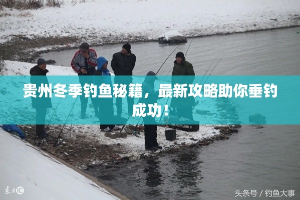 貴州冬季釣魚秘籍，最新攻略助你垂釣成功！