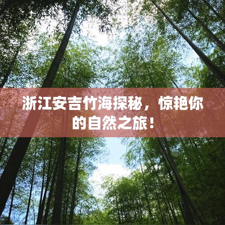 浙江安吉竹海探秘，驚艷你的自然之旅！