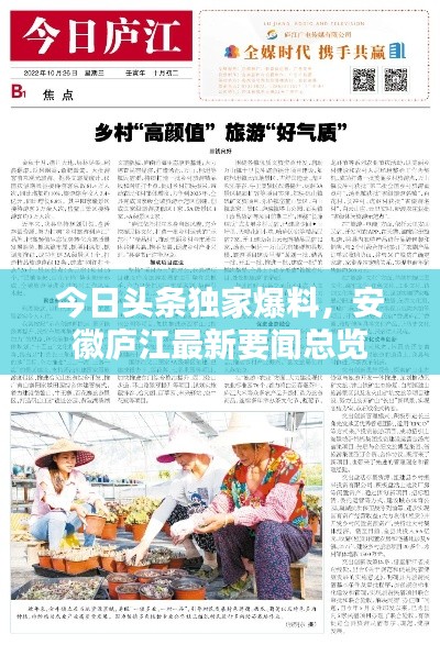今日頭條獨家爆料，安徽廬江最新要聞總覽