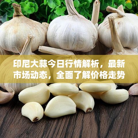 印尼大蒜今日行情解析，最新市場動態，全面了解價格走勢！