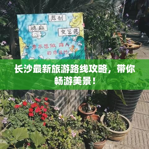 長沙最新旅游路線攻略，帶你暢游美景！