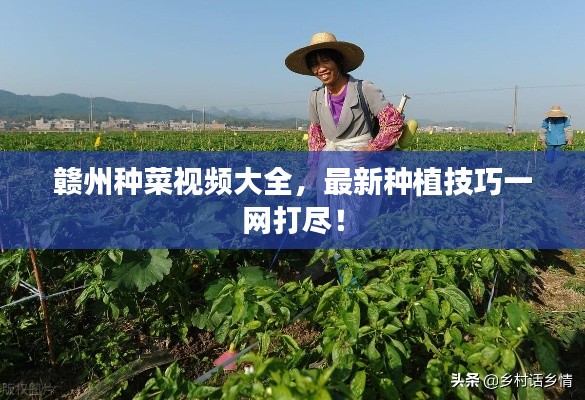 贛州種菜視頻大全，最新種植技巧一網打盡！