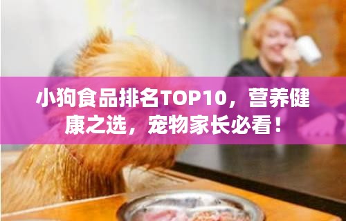 小狗食品排名TOP10，營養健康之選，寵物家長必看！