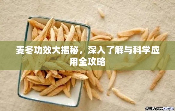 麥冬功效大揭秘，深入了解與科學應用全攻略