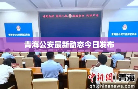 青海公安最新動態今日發布