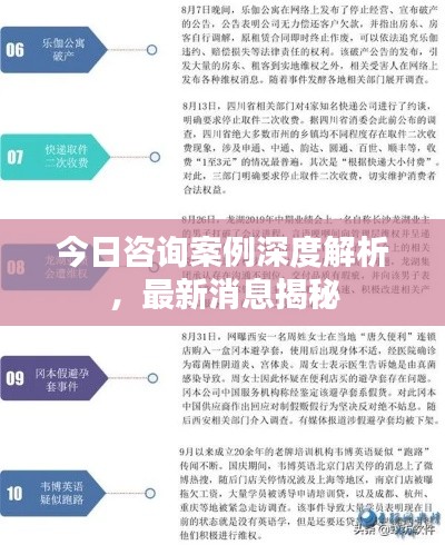 今日咨詢案例深度解析，最新消息揭秘