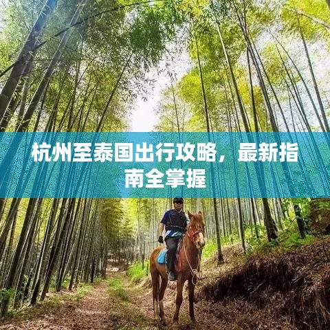 杭州至泰國出行攻略，最新指南全掌握