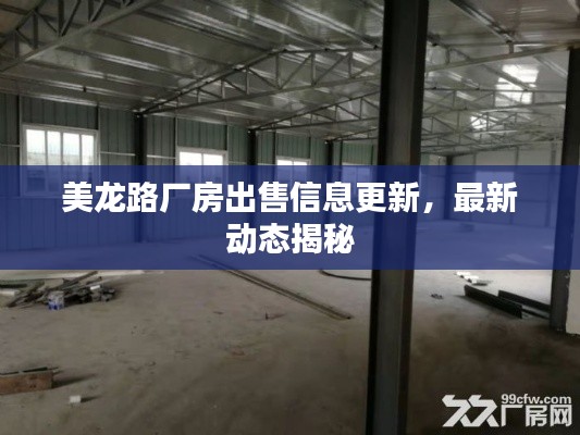 美龍路廠房出售信息更新，最新動態(tài)揭秘