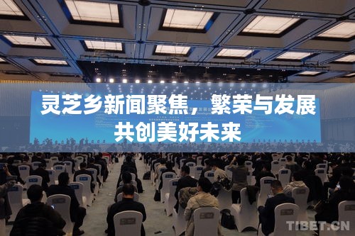 靈芝鄉新聞聚焦，繁榮與發展共創美好未來