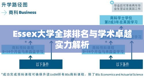 Essex大學(xué)全球排名與學(xué)術(shù)卓越實(shí)力解析