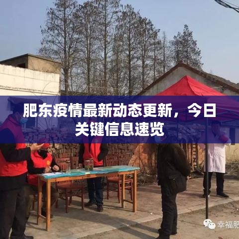 肥東疫情最新動態(tài)更新，今日關鍵信息速覽