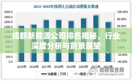成都新能源公司排名揭秘，行業(yè)深度分析與前景展望