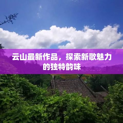 云山最新作品，探索新歌魅力的獨(dú)特韻味