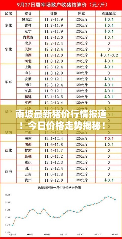南坡最新豬價行情報道！今日價格走勢揭秘！