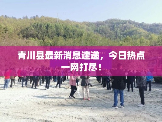 青川縣最新消息速遞，今日熱點一網打盡！