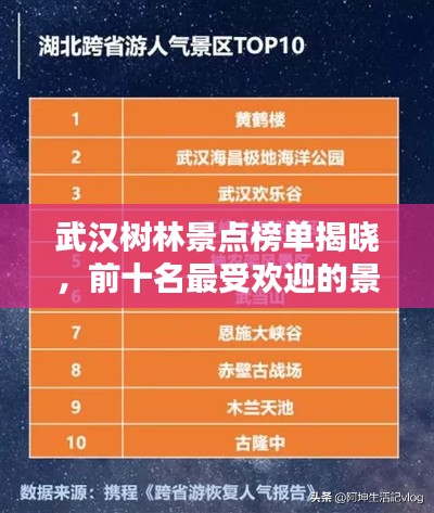 武漢樹林景點榜單揭曉，前十名最受歡迎的景點推薦！