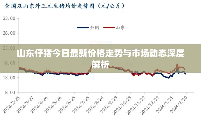 山東仔豬今日最新價格走勢與市場動態深度解析