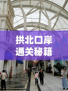 拱北口岸通關秘籍，最新攻略全解析