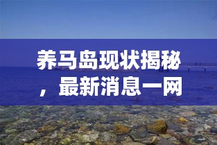 養馬島現狀揭秘，最新消息一網打盡