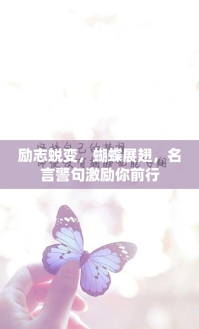 勵志蛻變，蝴蝶展翅，名言警句激勵你前行